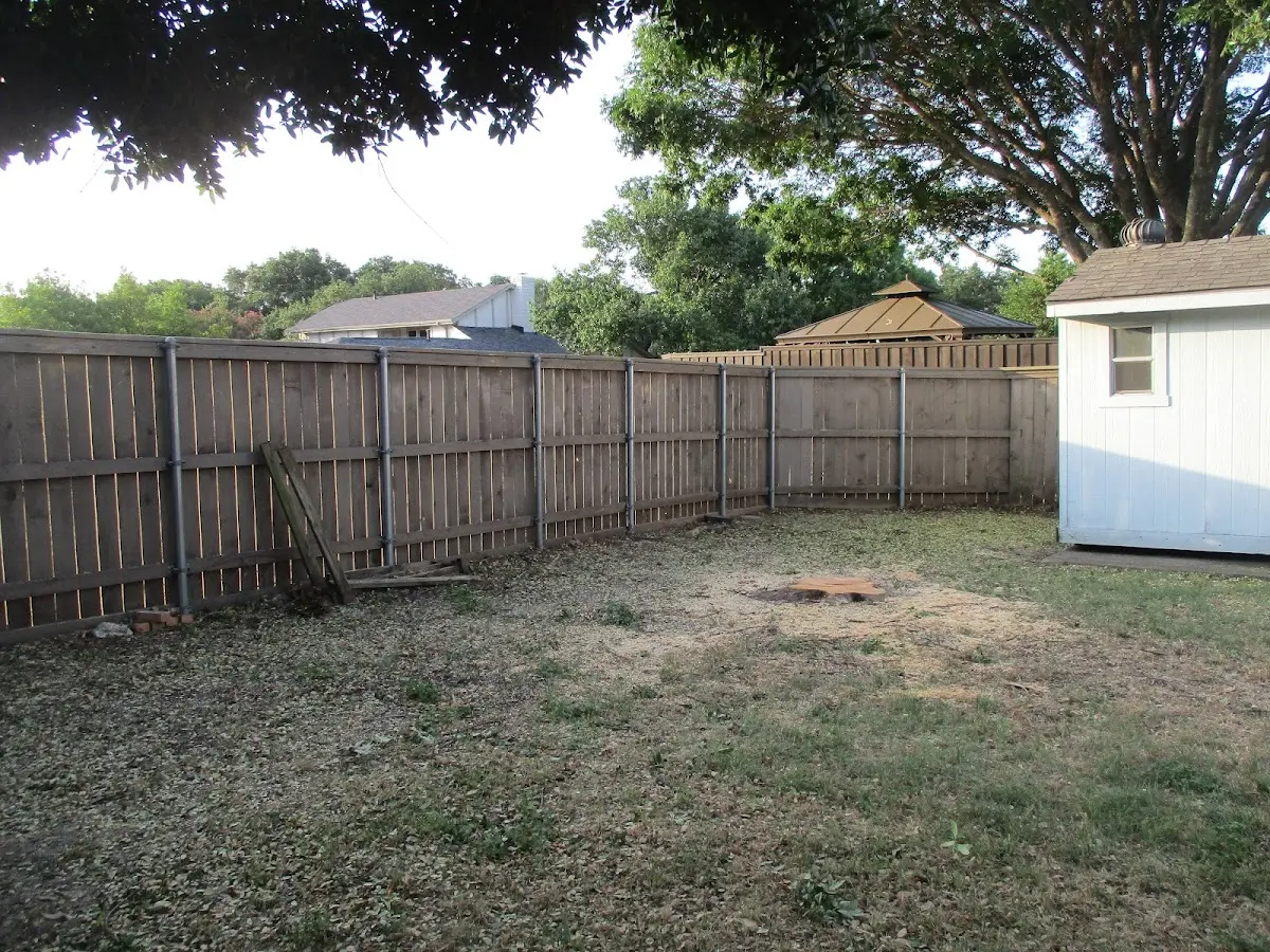 Cleared yard after professional tree removal in Dushore